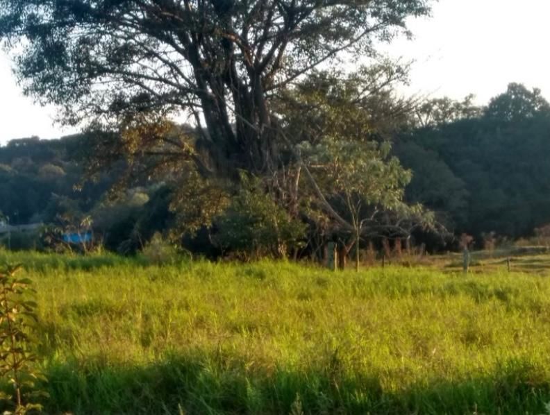 Lote/Terreno no bairro Líder, em Chapecó | Eu Corretor