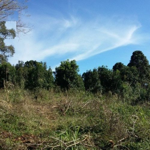 Lote/Terreno de 74000m² no bairro Seminário, em Chapecó | Eu Corretor