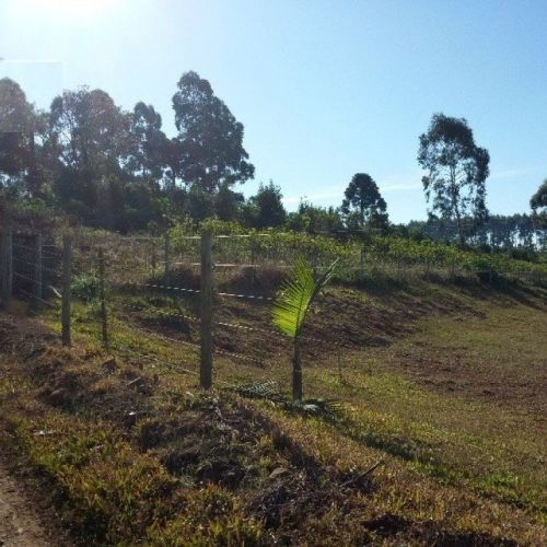 Lote/Terreno de 74000m² no bairro Seminário, em Chapecó | Eu Corretor