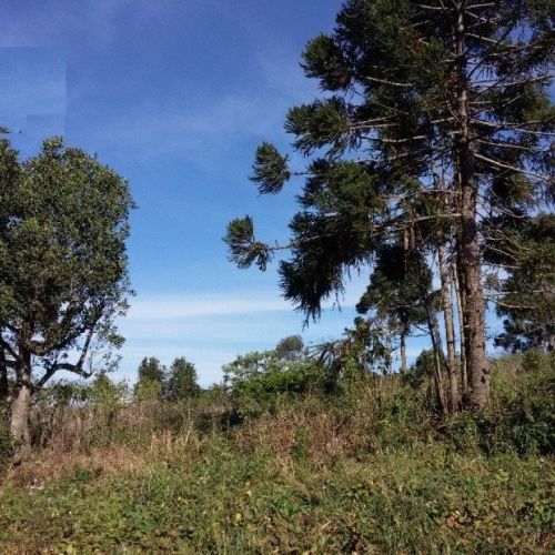 Lote/Terreno de 74000m² no bairro Seminário, em Chapecó | Eu Corretor
