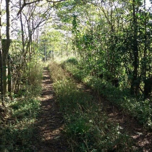 Lote/Terreno de 74000m² no bairro Seminário, em Chapecó | Eu Corretor