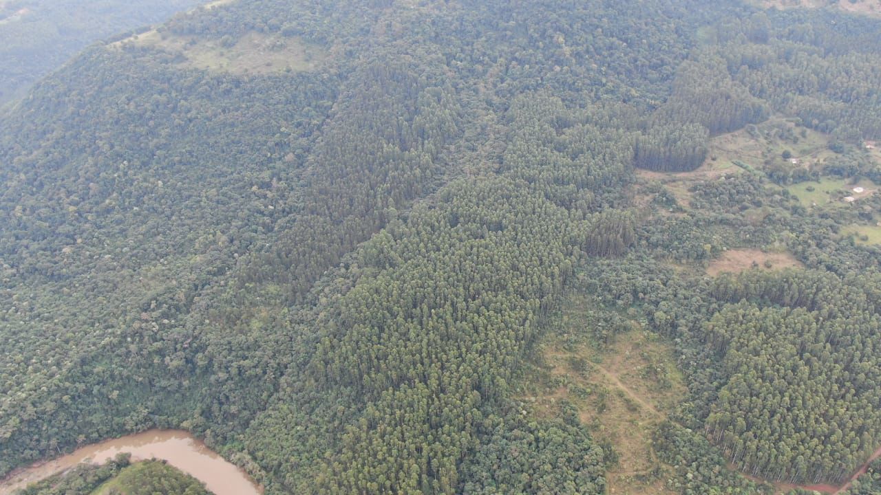 Fazenda/Sítios/Chácaras no bairro FAZENDA DO SILENCIO, em Xaxim | Eu Corretor