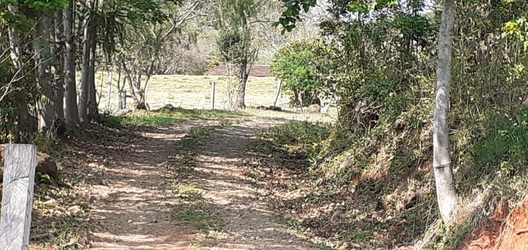 Fazenda/Sítios/Chácaras no bairro Área Rural de Chapecó, em Chapecó | Eu Corretor