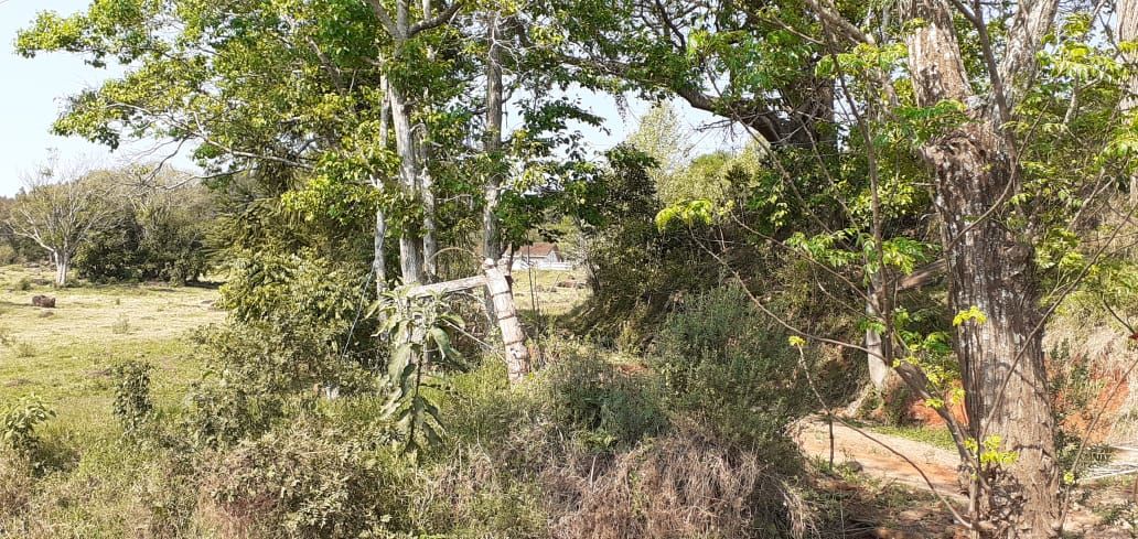 Fazenda/Sítios/Chácaras no bairro Área Rural de Chapecó, em Chapecó | Eu Corretor
