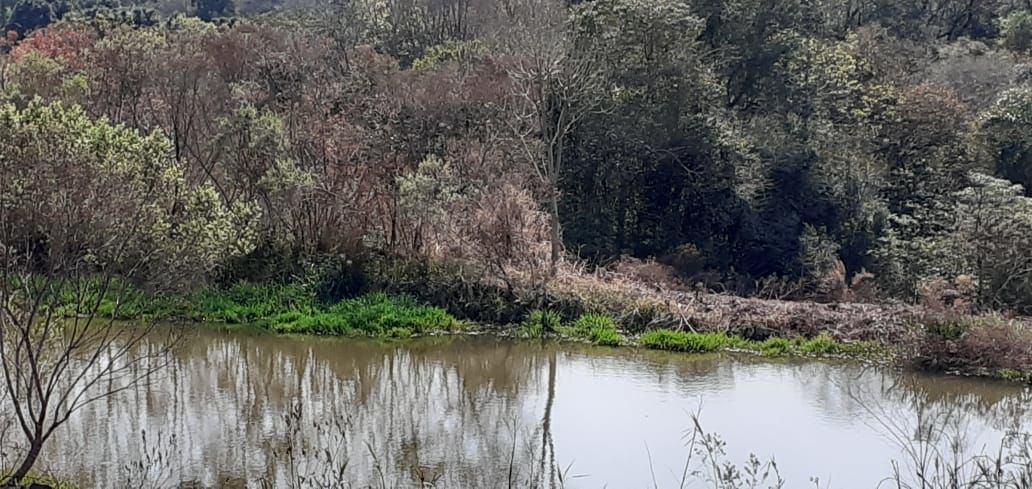 Fazenda/Sítios/Chácaras no bairro Área Rural de Chapecó, em Chapecó | Eu Corretor