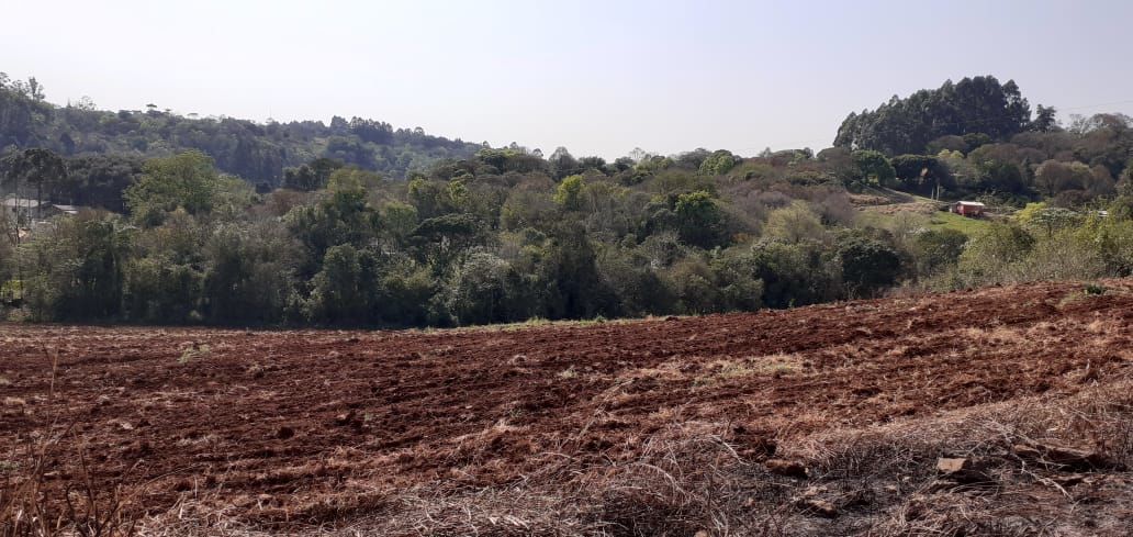 Fazenda/Sítios/Chácaras no bairro Área Rural de Chapecó, em Chapecó | Eu Corretor