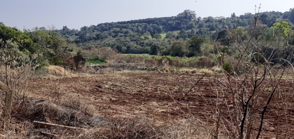 Fazenda/Sítios/Chácaras no bairro Área Rural de Chapecó, em Chapecó | Eu Corretor