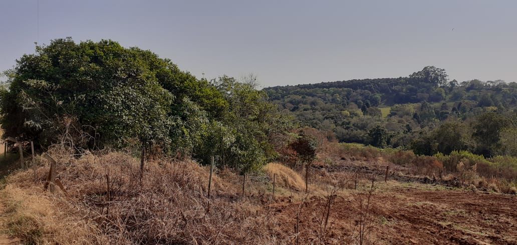 Fazenda/Sítios/Chácaras no bairro Área Rural de Chapecó, em Chapecó | Eu Corretor