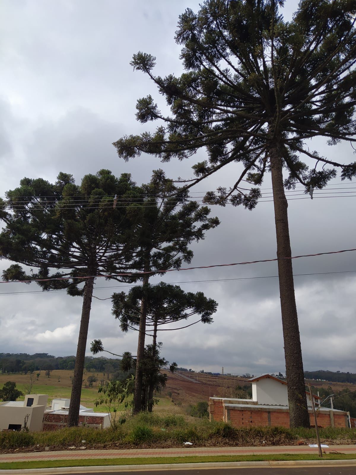 Lote/Terreno no bairro Autódromo, em Chapecó | Eu Corretor