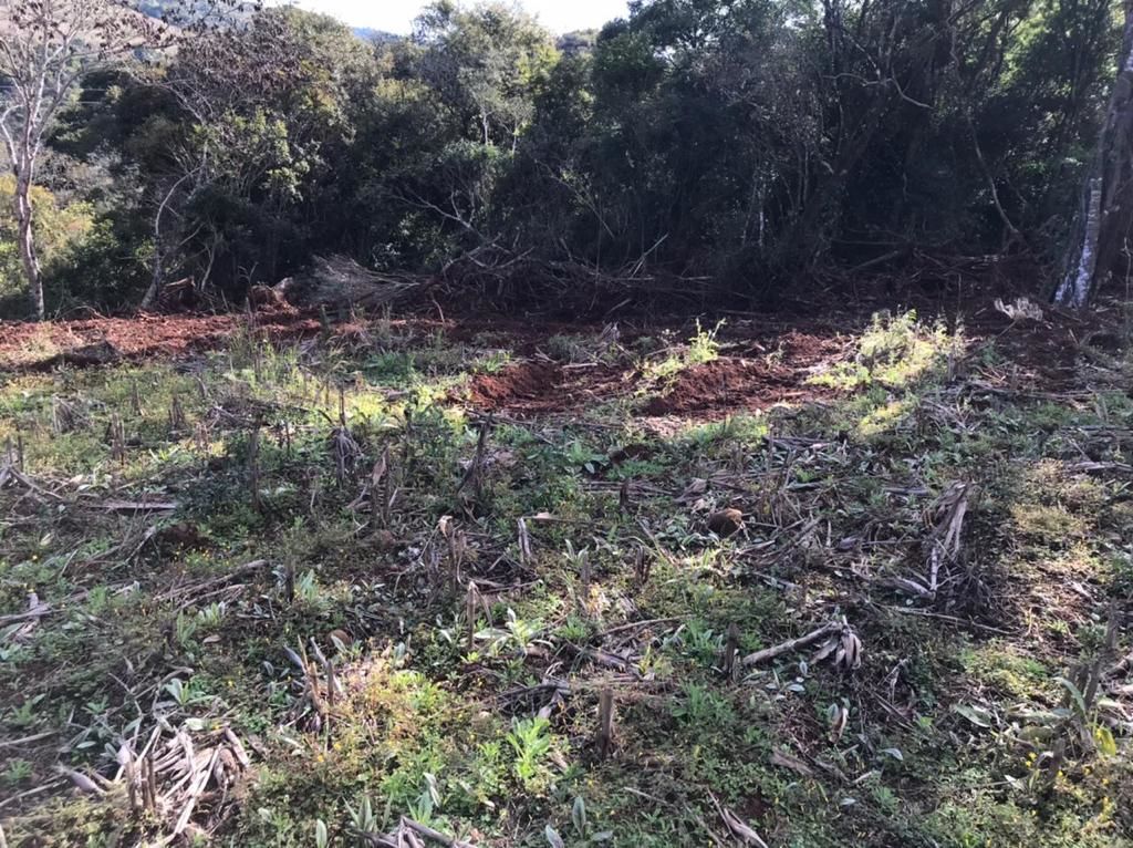 Fazenda/Sítios/Chácaras no bairro interior, em Rio dos Índios | Eu Corretor