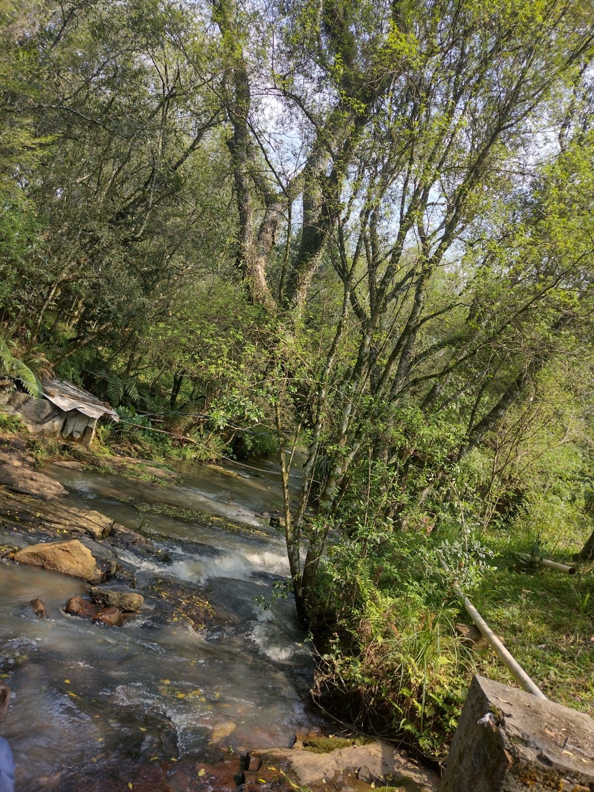 Lote/Terreno no bairro BAIA ALTA, em Ponte Serrada | Eu Corretor