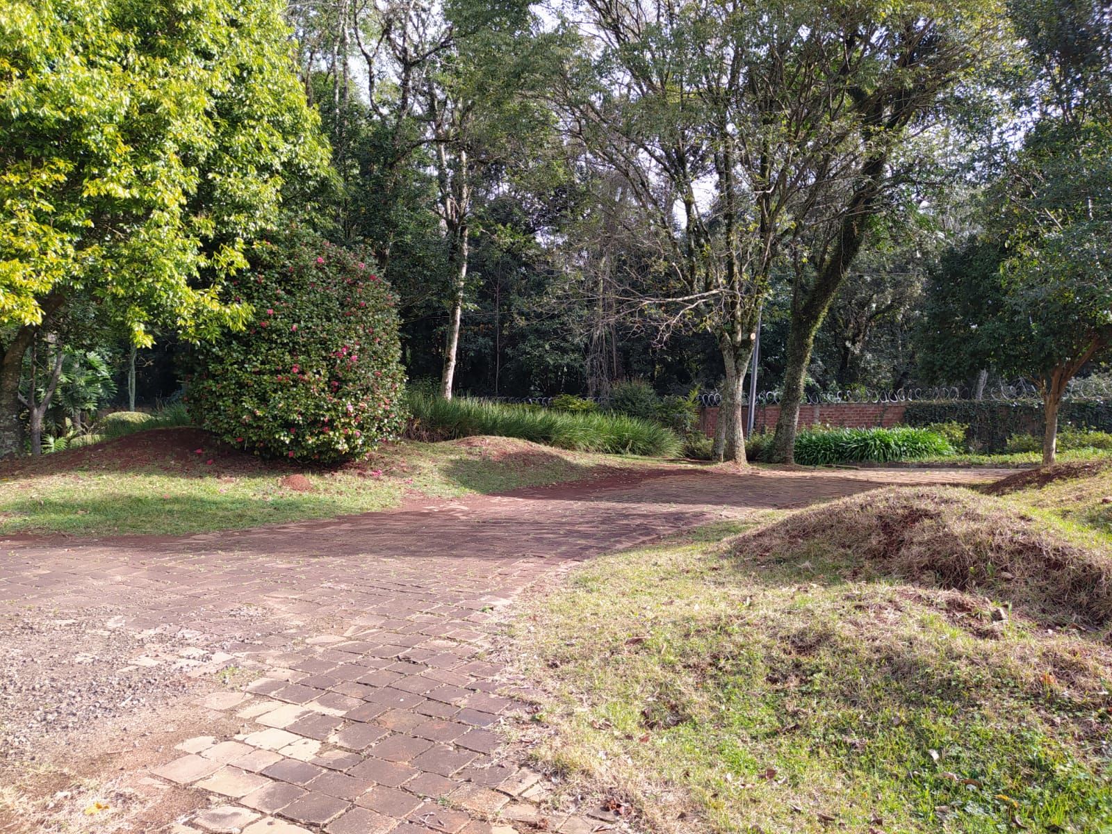 Lote/Terreno no bairro linha rodeio chato, em Chapecó | Eu Corretor