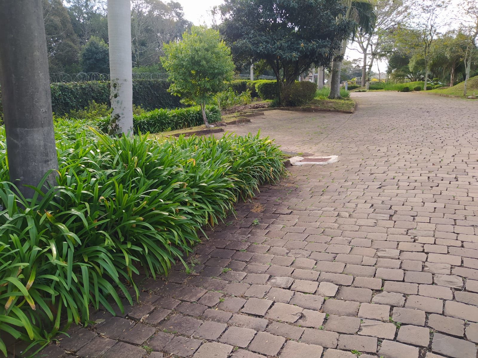 Lote/Terreno no bairro linha rodeio chato, em Chapecó | Eu Corretor