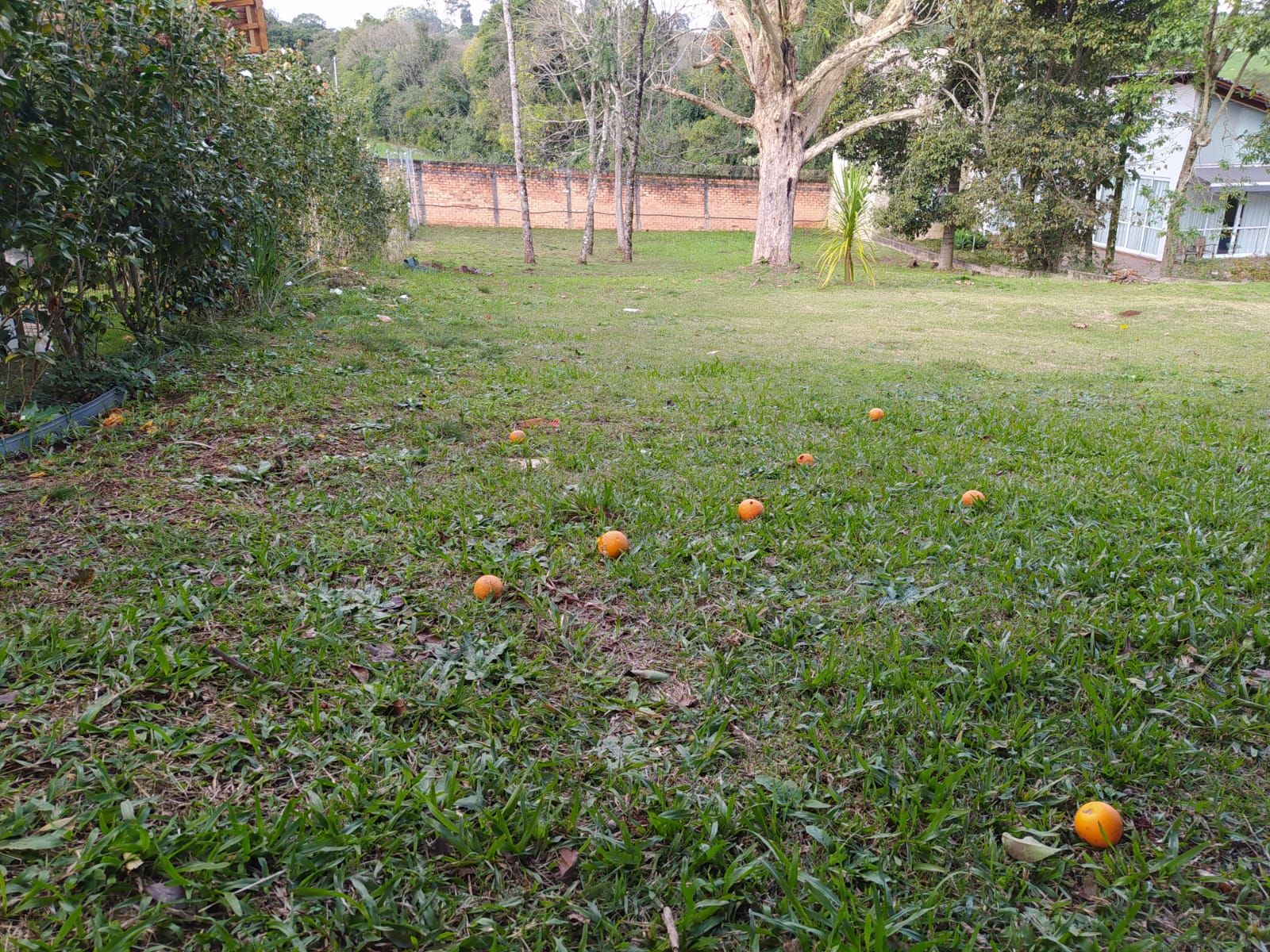 Lote/Terreno no bairro linha rodeio chato, em Chapecó | Eu Corretor