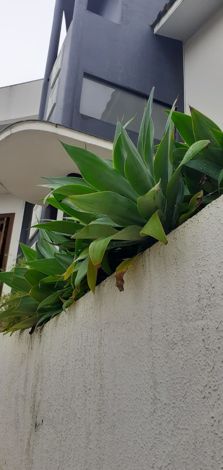 Casa de 2 quartos, 476m² no bairro Jardim Itália, em Chapecó | Eu Corretor