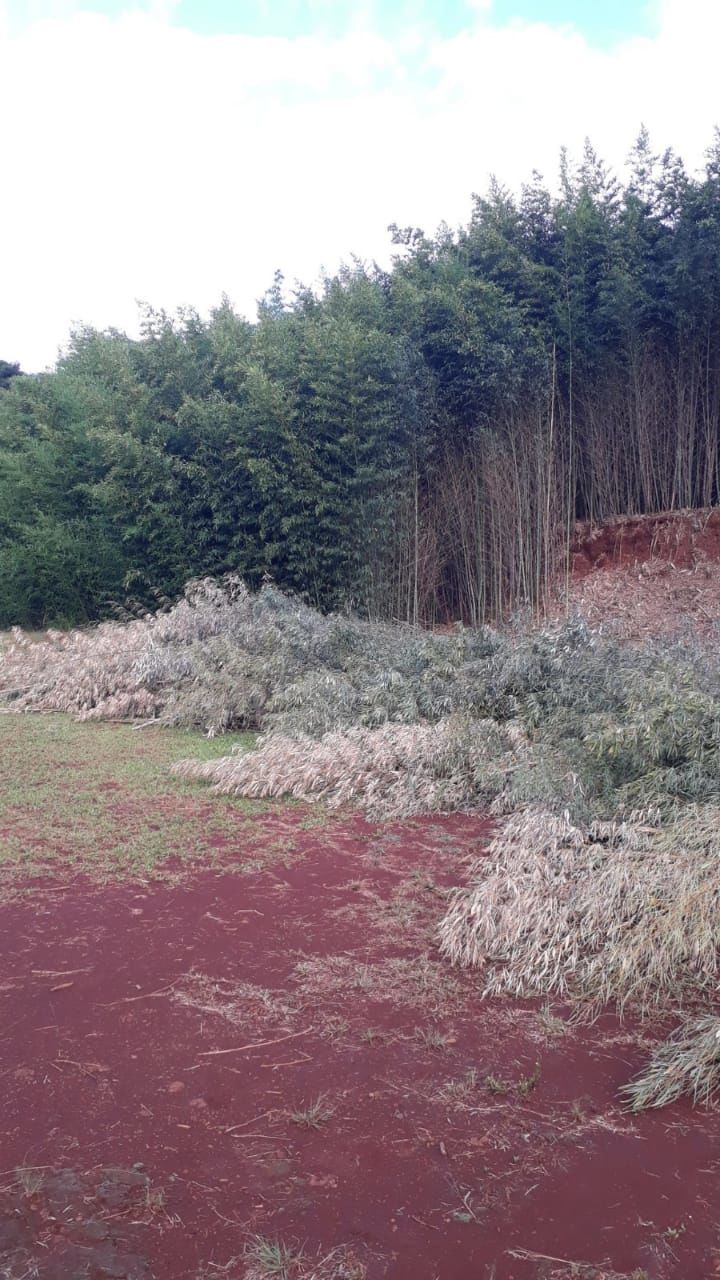 Lote/Terreno de 1100m² no bairro ESPELHO DAS AGUAS, em Figueira | Eu Corretor