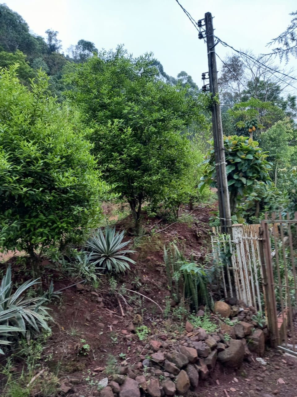 Chácara de 3 quartos, 140m² no bairro Interior Nova Itaberaba, em Nova Itaberaba | Eu Corretor