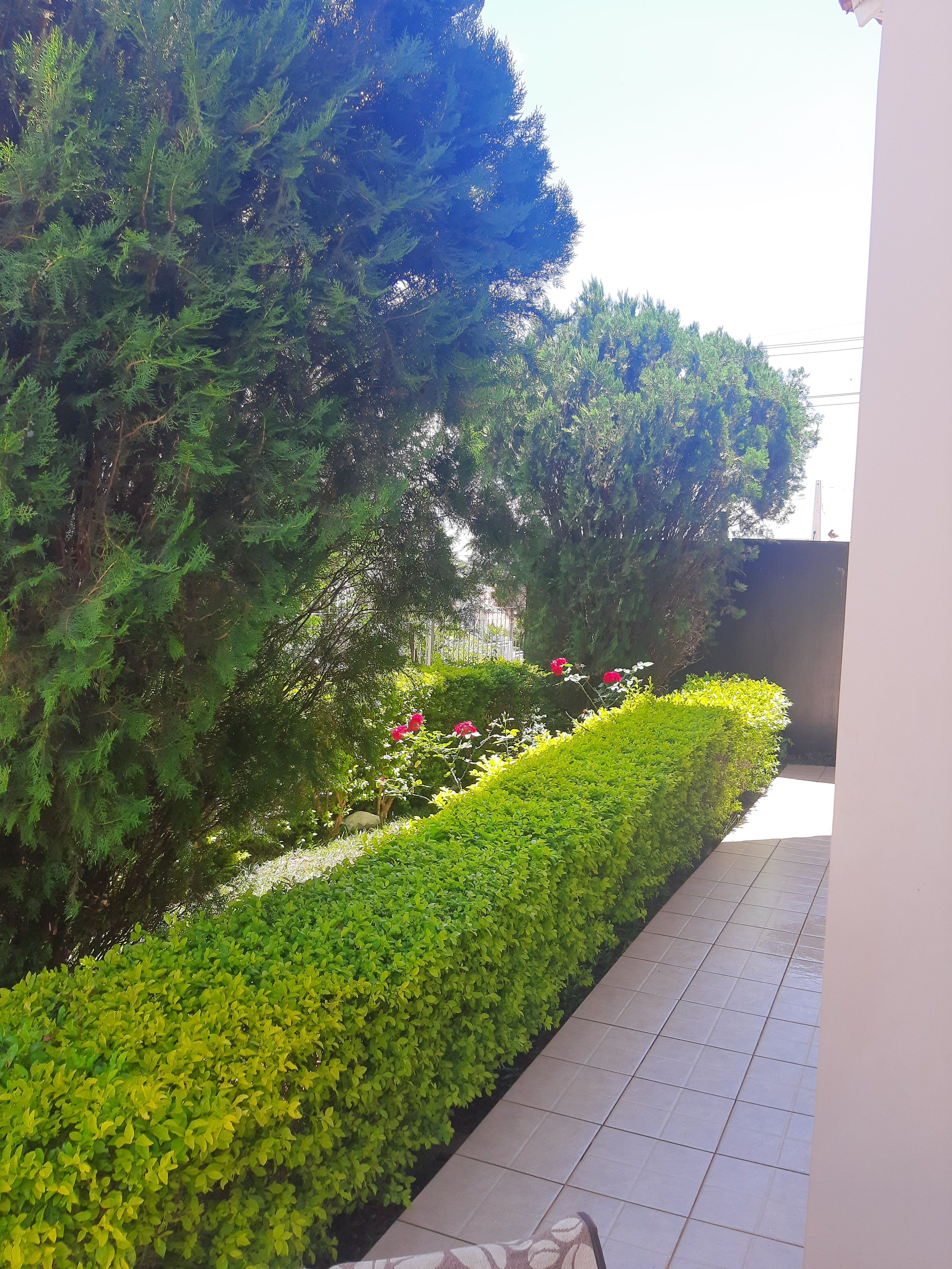 Casa de 189m² no bairro Centro, em Chapecó | Eu Corretor
