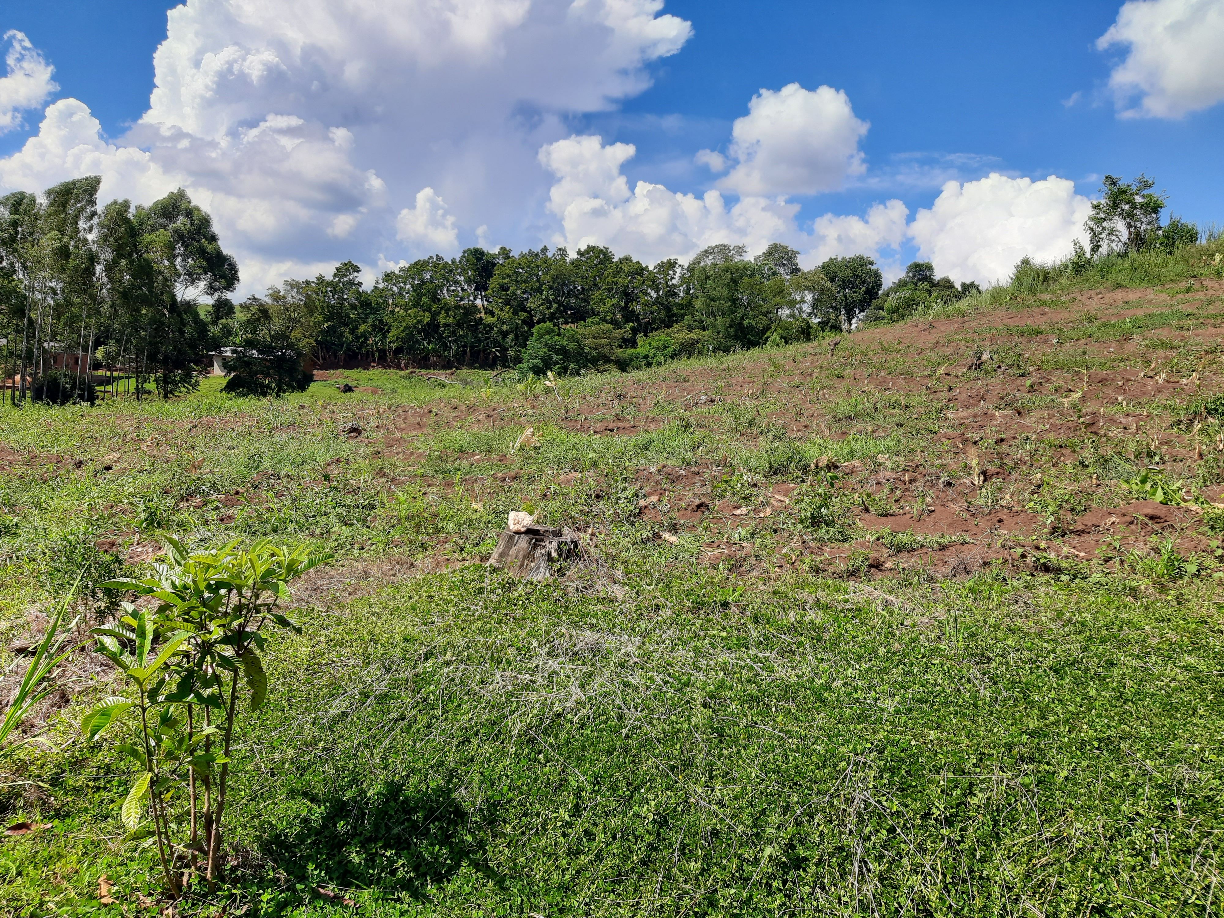 Fazenda/Sítios/Chácaras de 280000m² no bairro Alto da Serra, em Chapecó | Eu Corretor