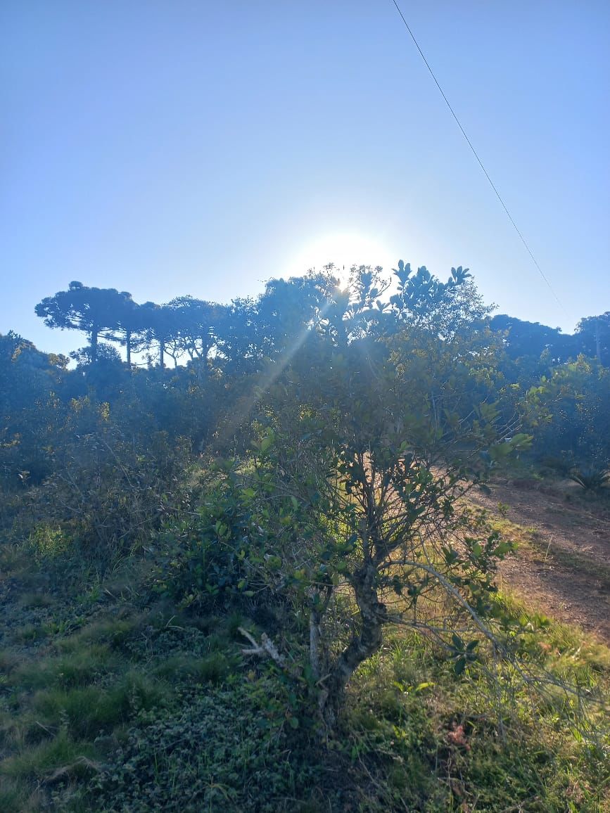 Fazenda/Sítios/Chácaras de 20000m² no bairro Centro (Marechal Bormann), em Chapecó | Eu Corretor