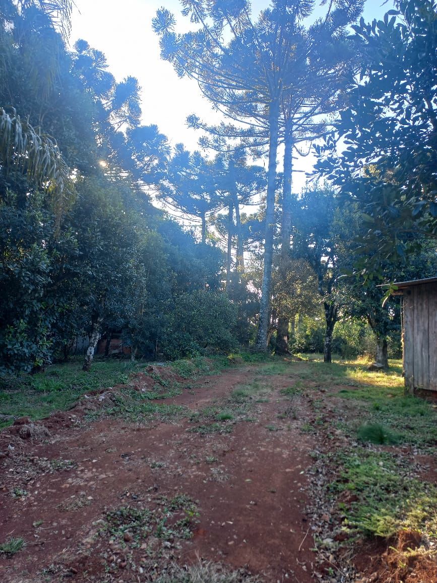 Fazenda/Sítios/Chácaras de 20000m² no bairro Centro (Marechal Bormann), em Chapecó | Eu Corretor