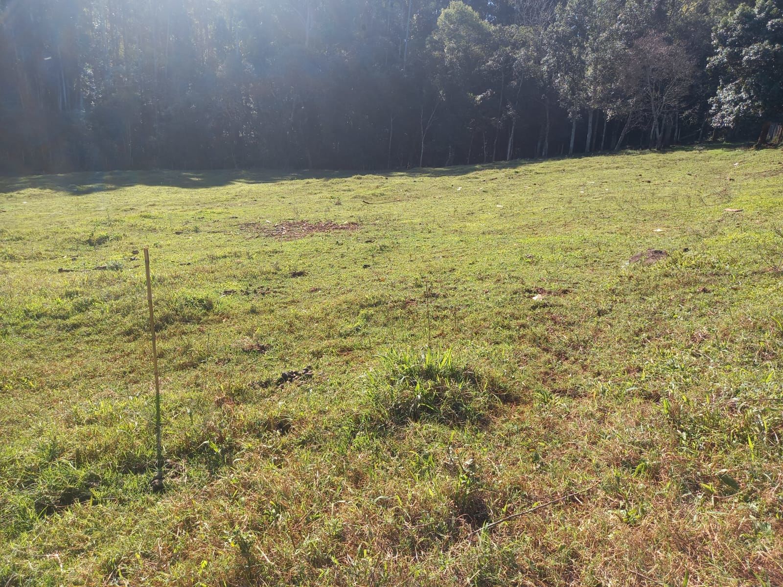 Lote/Terreno Comercial de 4000m² no bairro Trevo, em Chapecó | Eu Corretor
