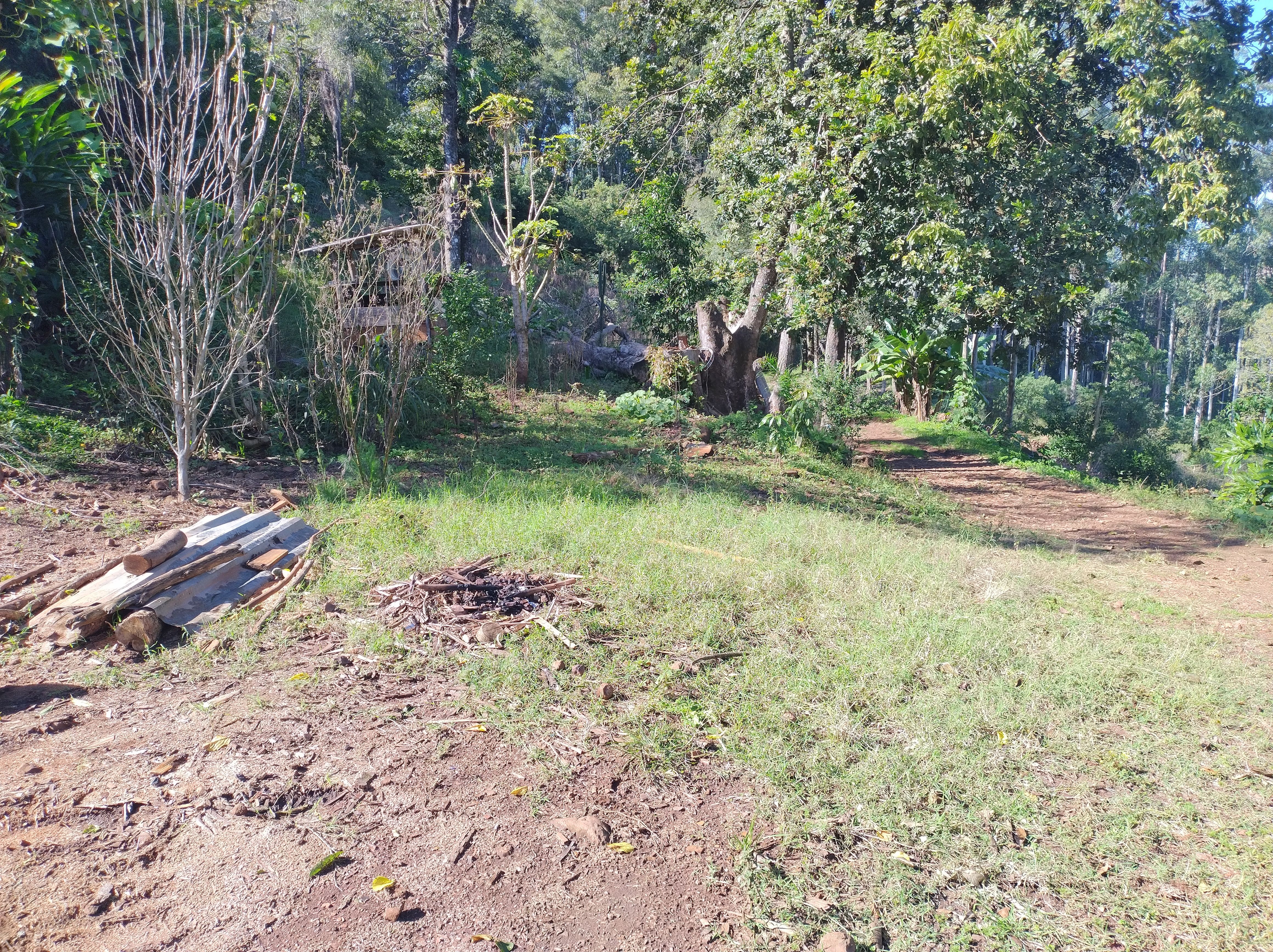 Fazenda/Sítios/Chácaras de 2 quartos, 90000m² no bairro sede figueira, em Coronel Freitas | Eu Corretor