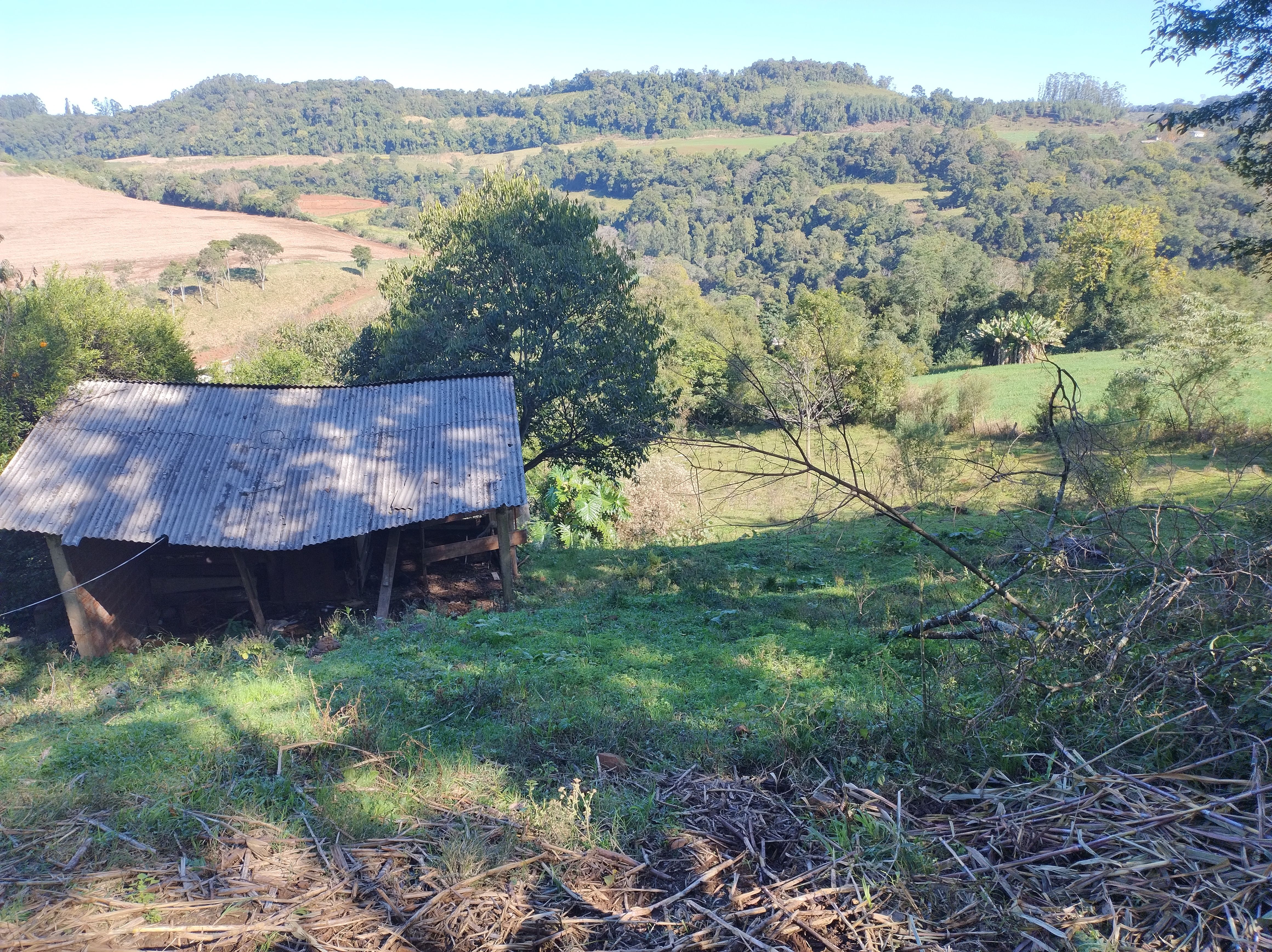 Fazenda/Sítios/Chácaras de 2 quartos, 90000m² no bairro sede figueira, em Coronel Freitas | Eu Corretor
