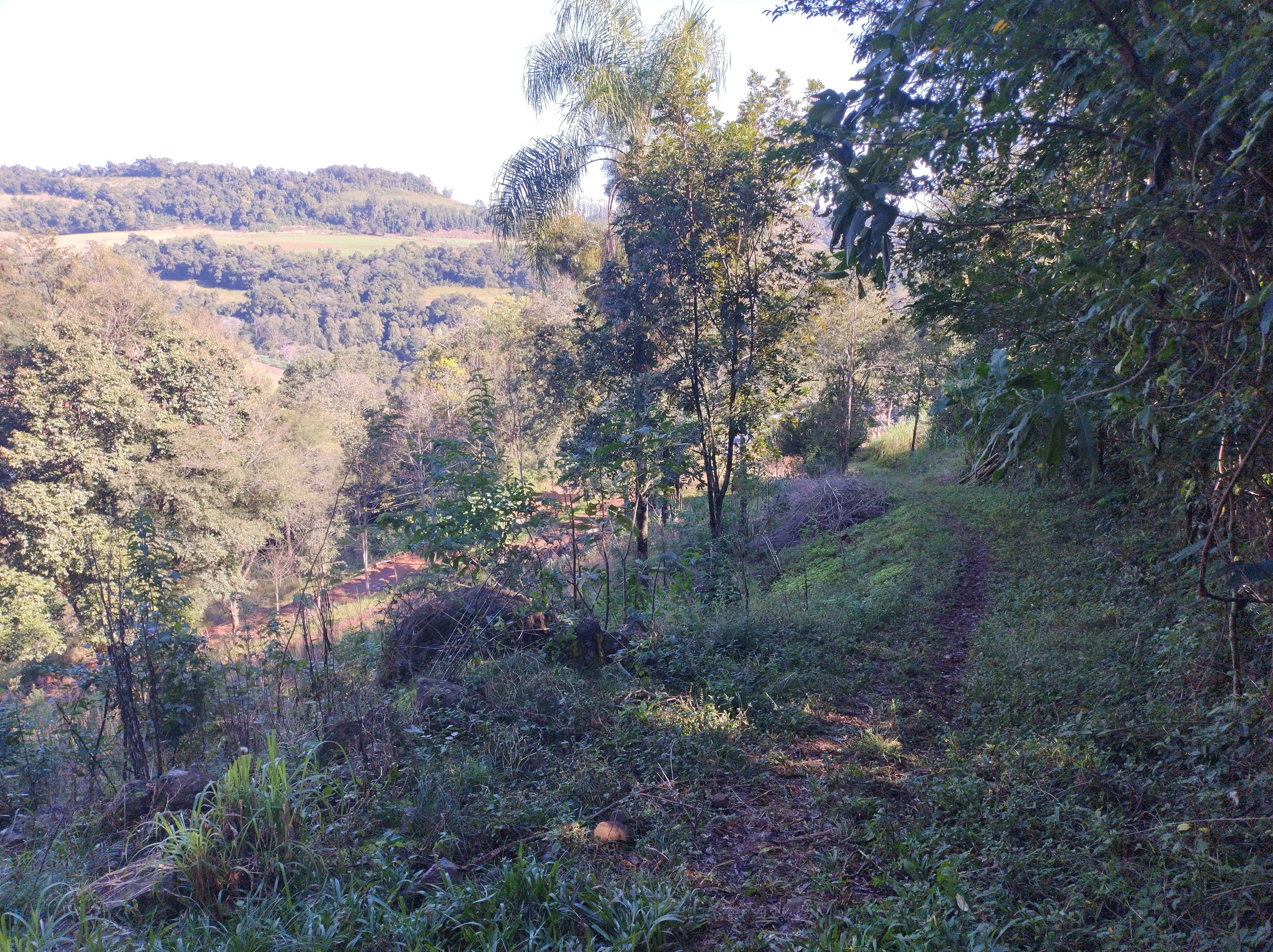 Fazenda/Sítios/Chácaras de 2 quartos, 90000m² no bairro sede figueira, em Coronel Freitas | Eu Corretor