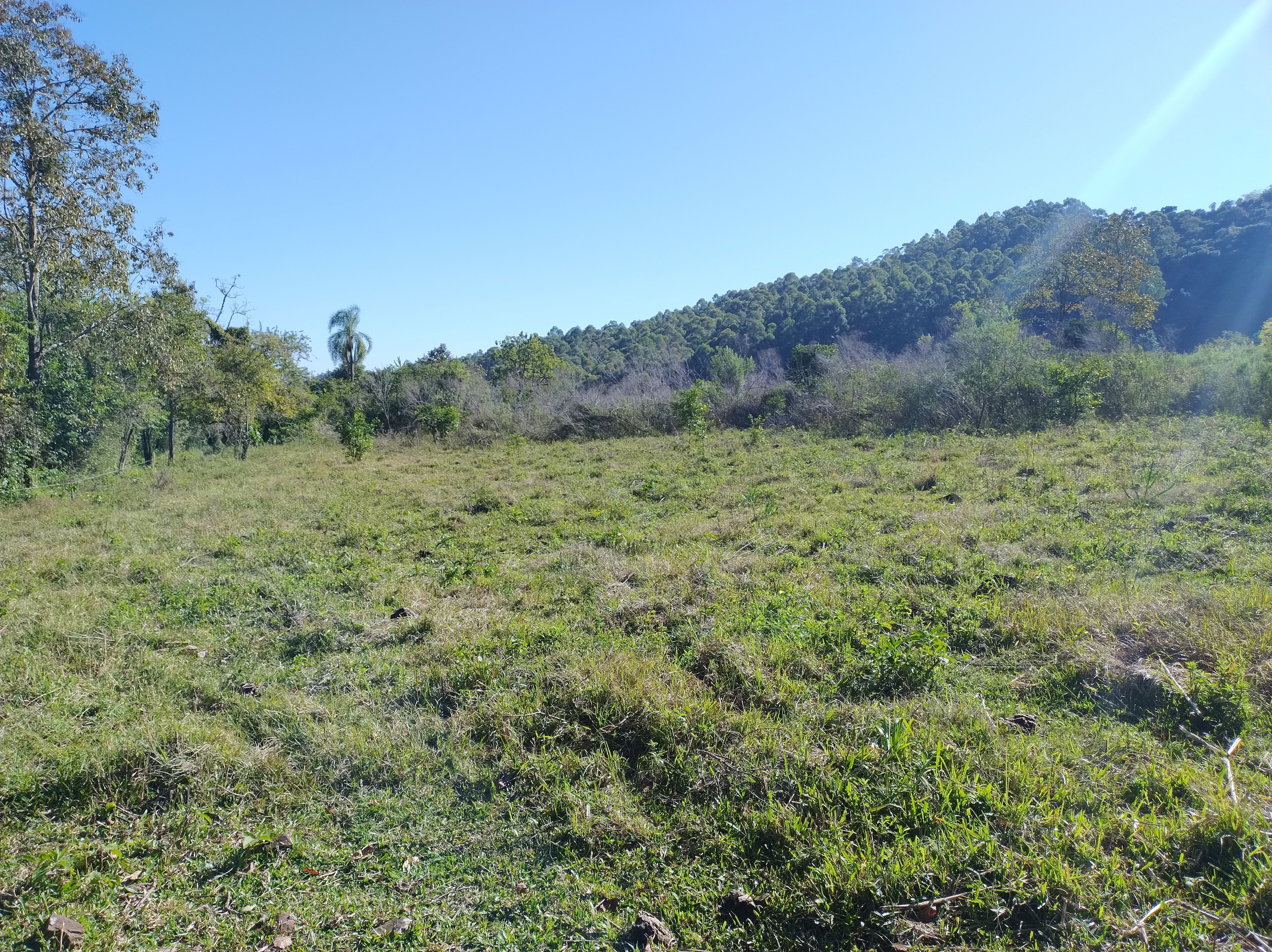 Fazenda/Sítios/Chácaras de 2 quartos, 90000m² no bairro sede figueira, em Coronel Freitas | Eu Corretor
