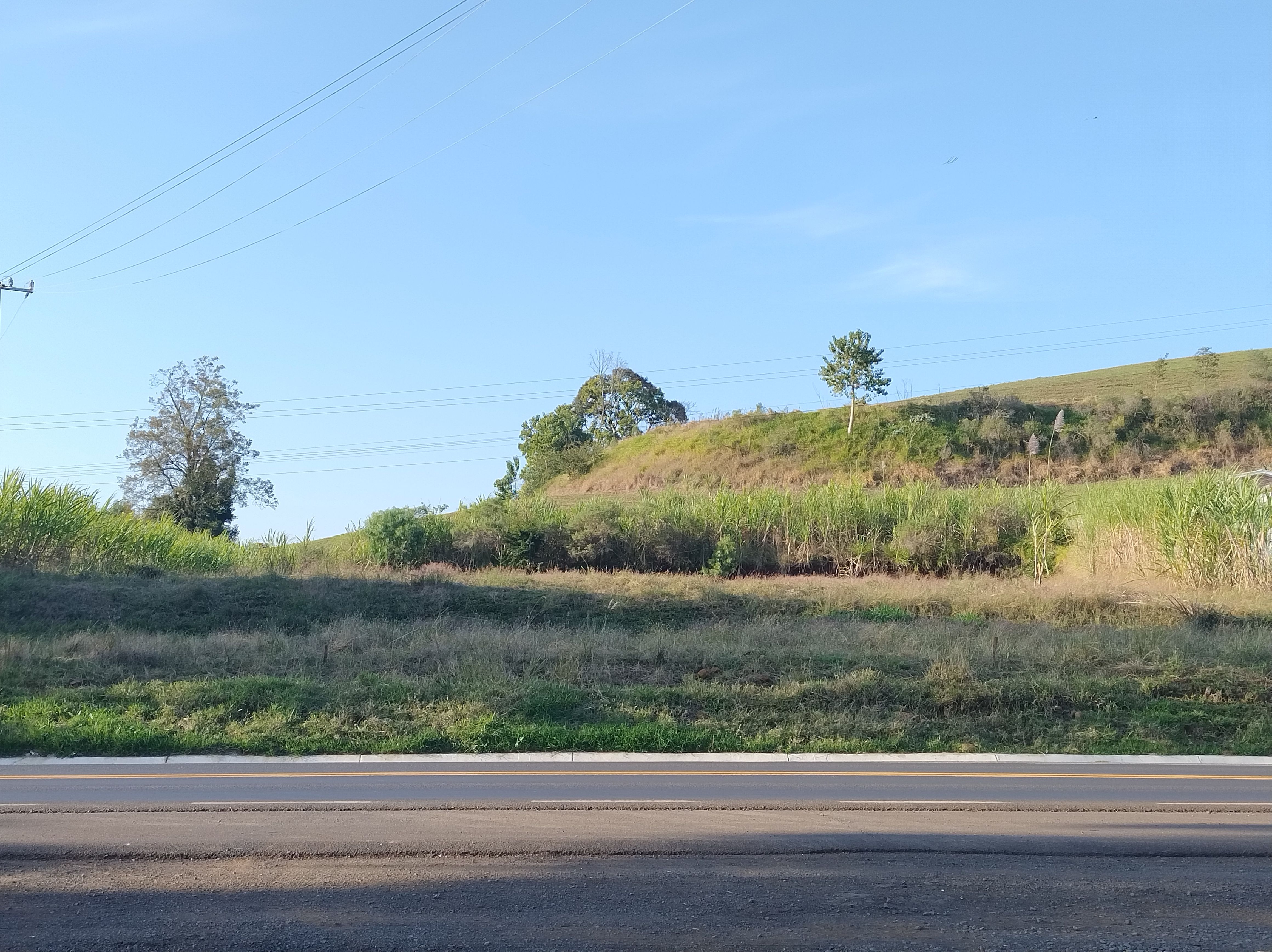 Fazenda/Sítios/Chácaras de 1800m² no bairro INTERIOR, em Figueira | Eu Corretor