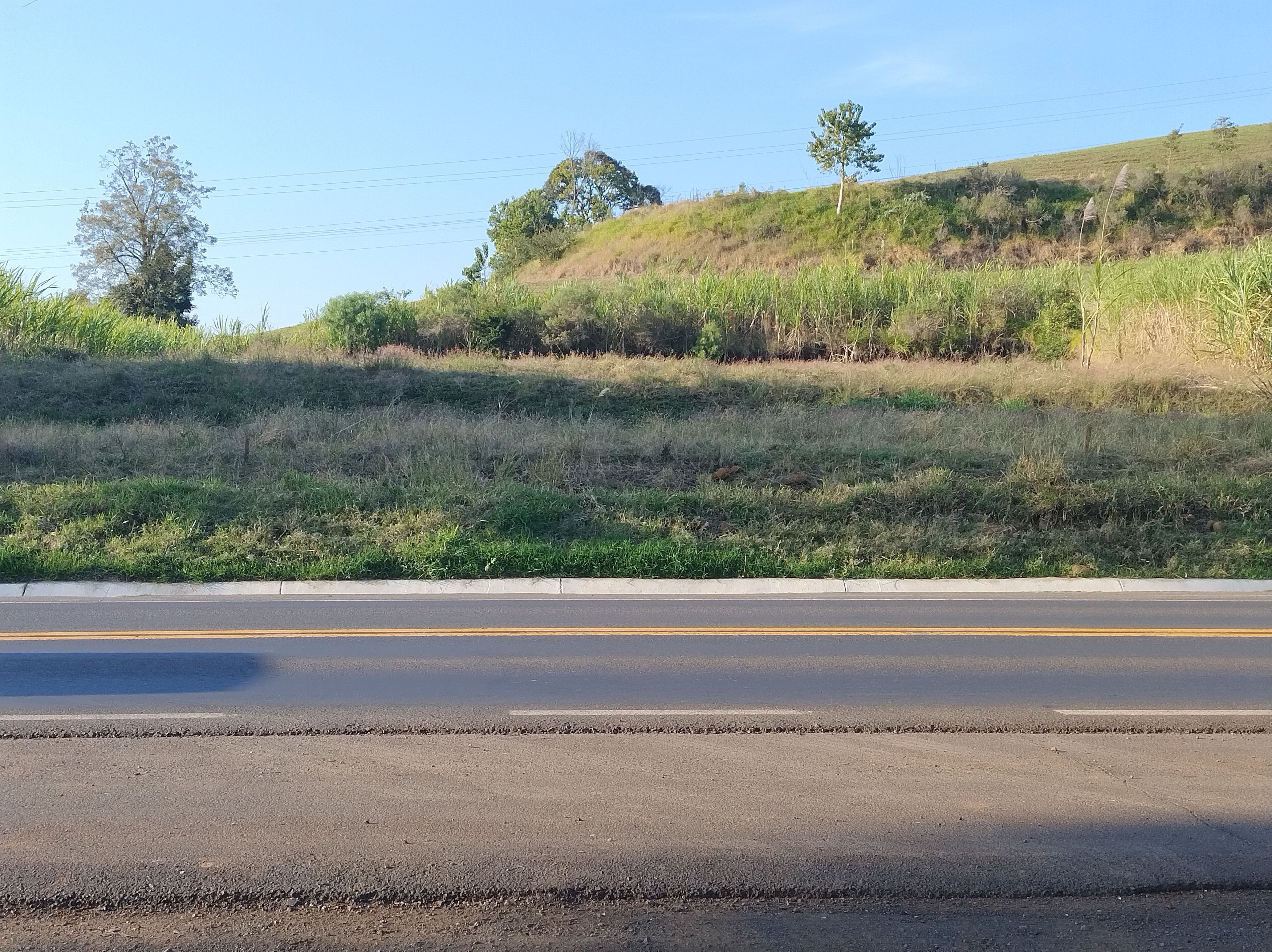 Fazenda/Sítios/Chácaras de 1800m² no bairro INTERIOR, em Figueira | Eu Corretor