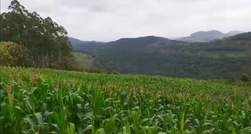 Fazenda/Sítios/Chácaras de 108583m² no bairro Linha Rosario, em Seara | Eu Corretor