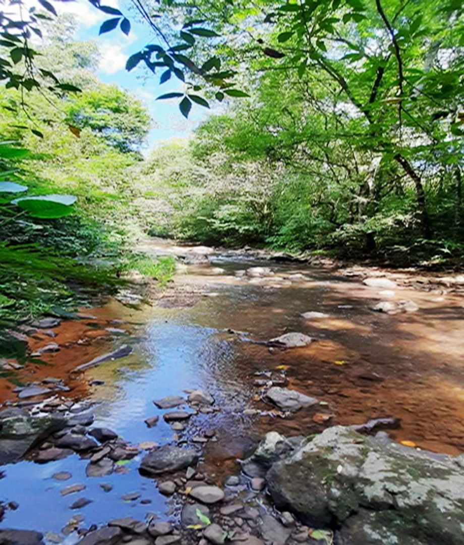 Fazenda/Sítios/Chácaras de 6700m² no bairro LINHA FERNANDO MACHADO, em Cordilheira Alta | Eu Corretor