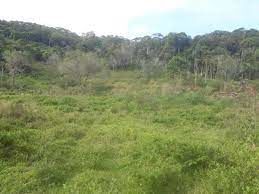 Fazenda/Sítios/Chácaras de 363000m² no bairro INTERIOR, em Nova Itaberaba | Eu Corretor