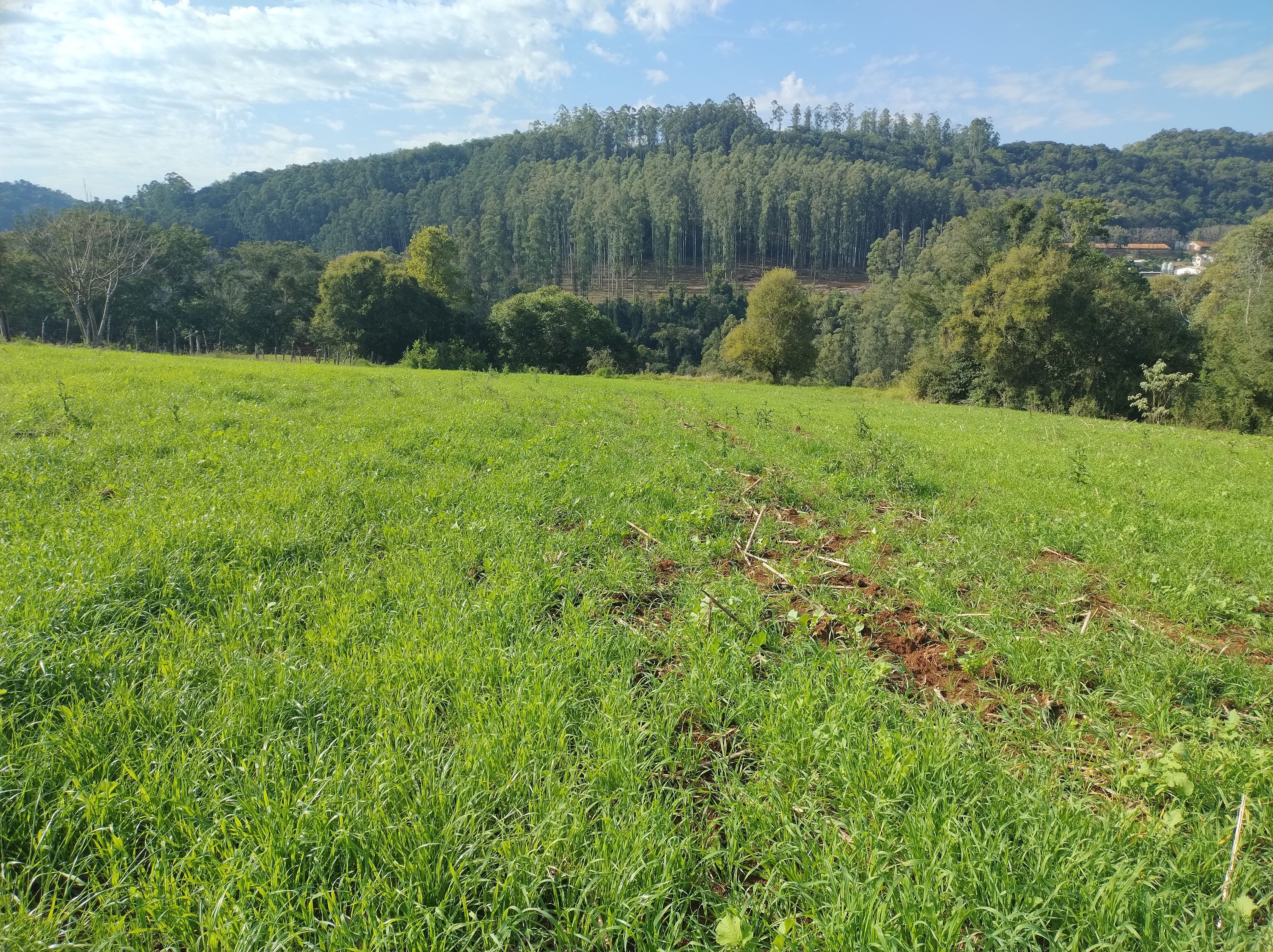 Fazenda/Sítios/Chácaras de 81525m² no bairro INTERIOR, em Nova Itaberaba | Eu Corretor