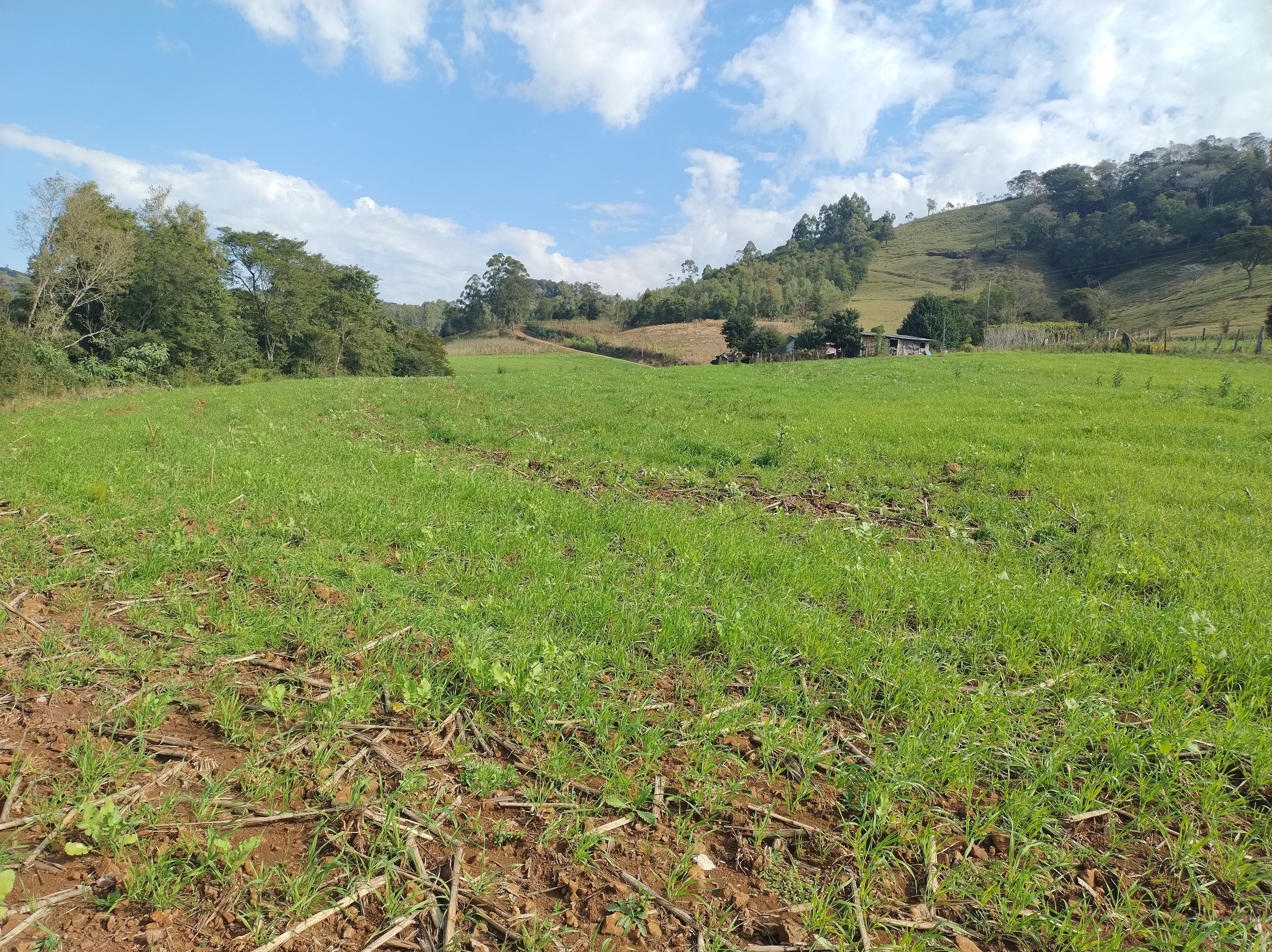 Fazenda/Sítios/Chácaras de 81525m² no bairro INTERIOR, em Nova Itaberaba | Eu Corretor