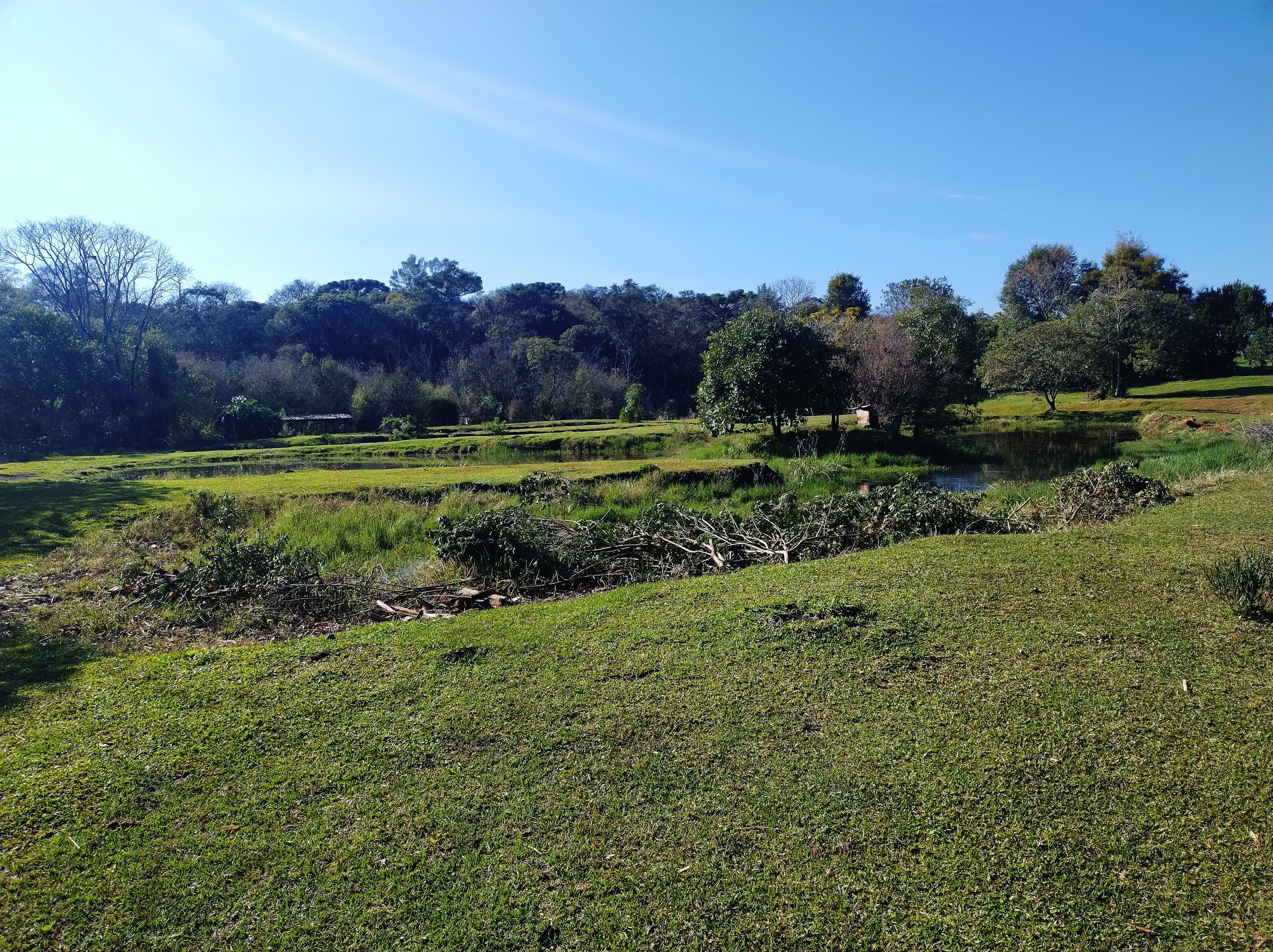 Fazenda/Sítios/Chácaras de 24200m² no bairro Efapi, em Chapecó | Eu Corretor