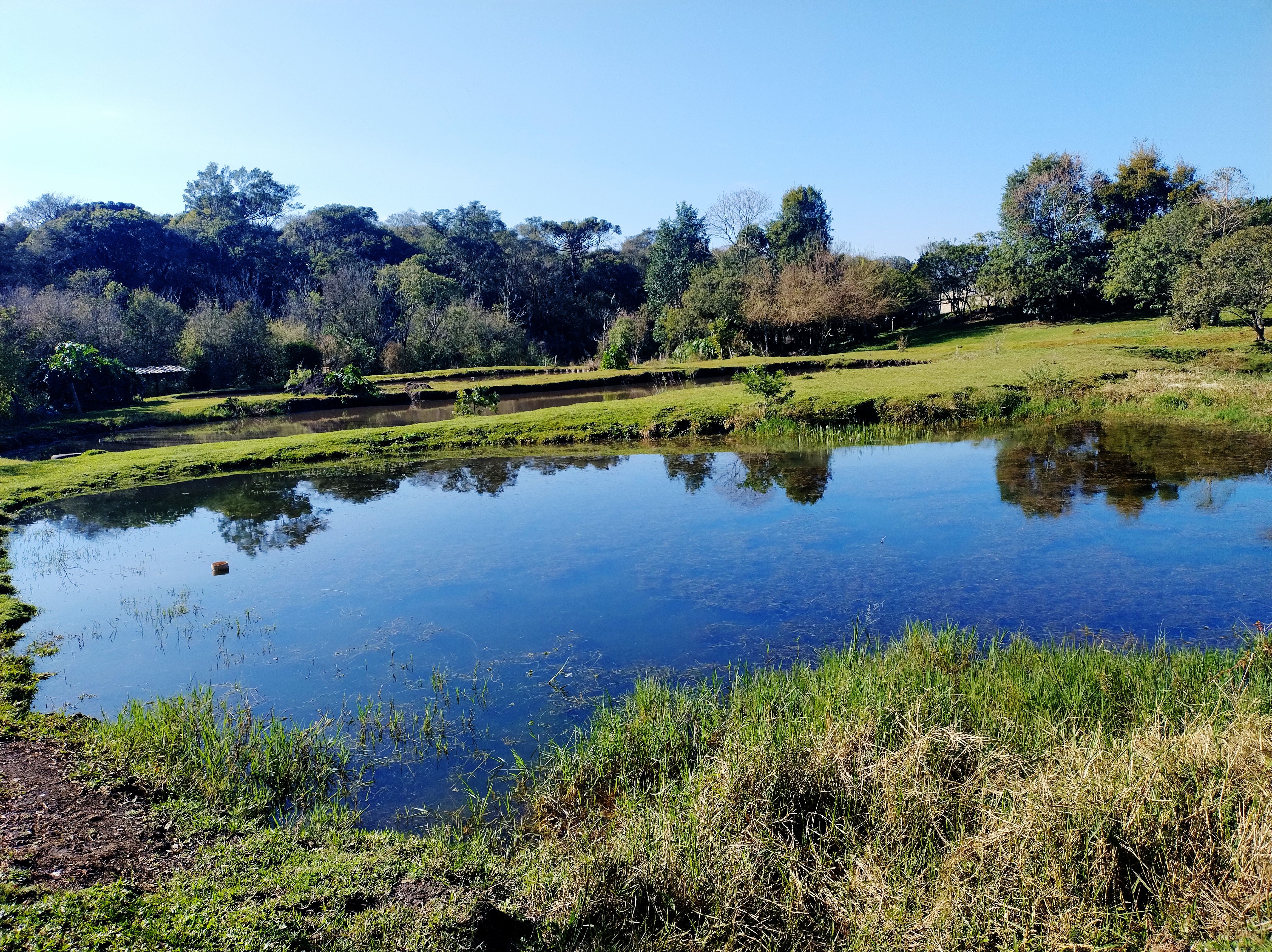 Fazenda/Sítios/Chácaras de 24200m² no bairro Efapi, em Chapecó | Eu Corretor