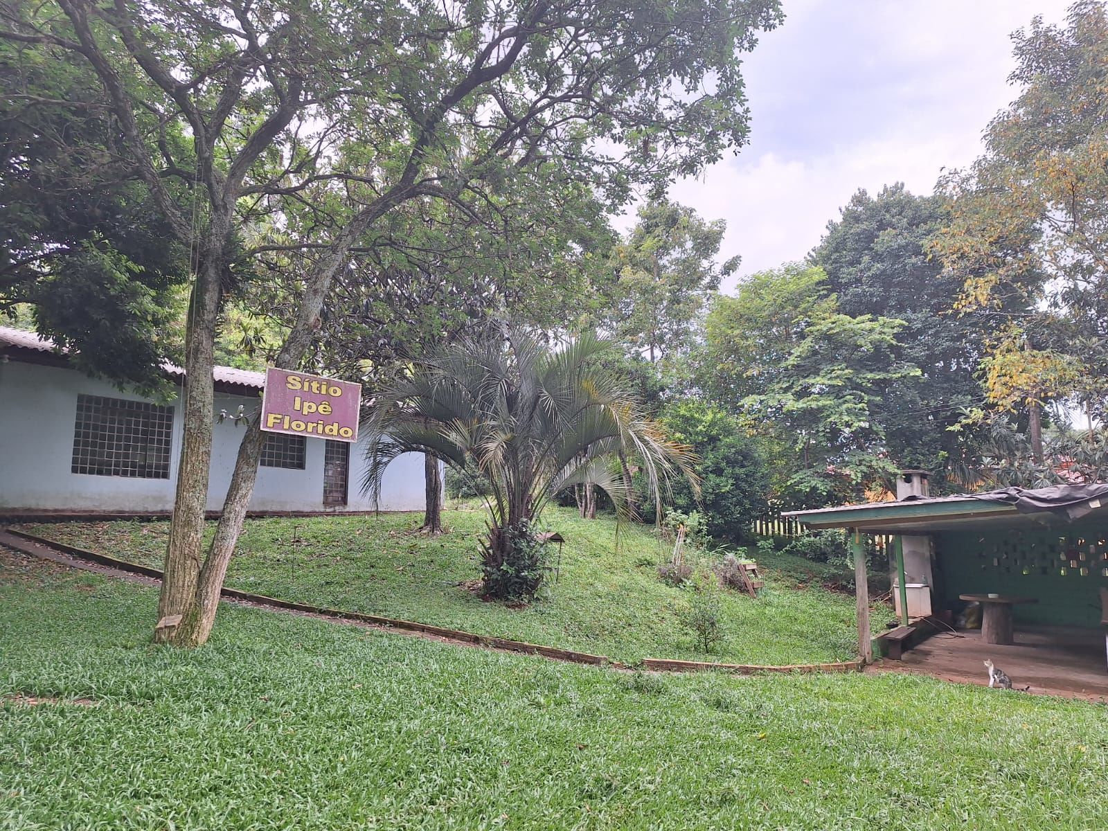 Chácara de 10192m² no bairro Centro, em Chapecó | Eu Corretor