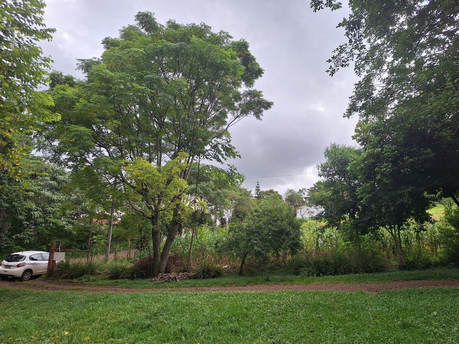 Chácara de 10192m² no bairro Centro, em Chapecó | Eu Corretor