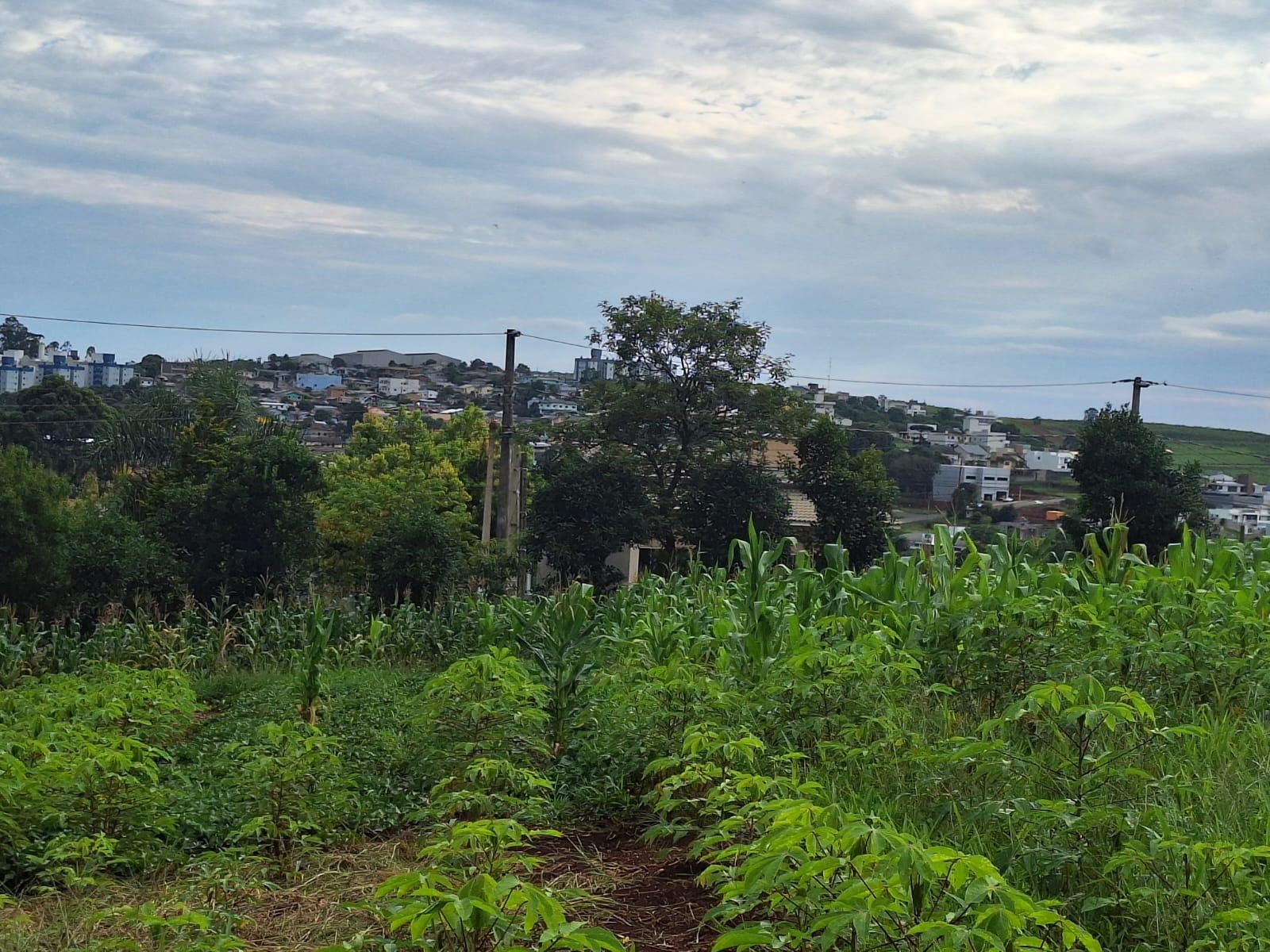 Chácara de 10192m² no bairro Centro, em Chapecó | Eu Corretor