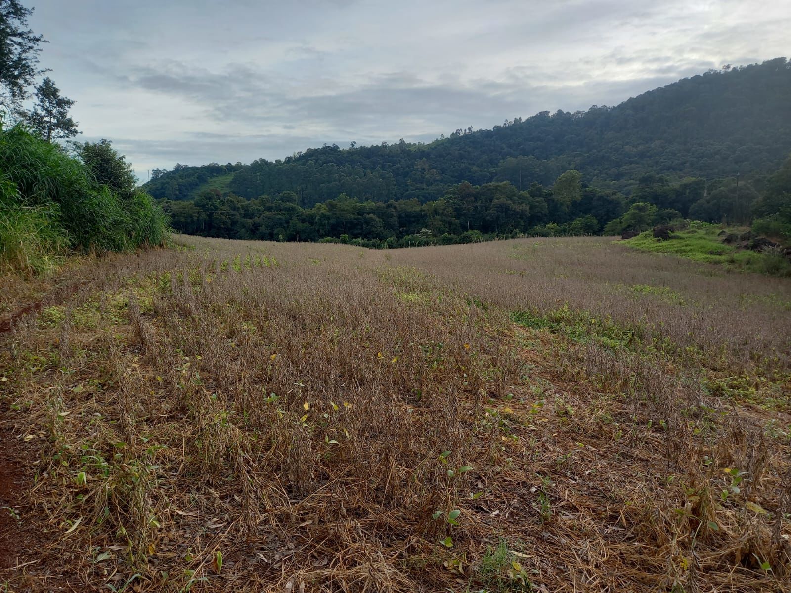 Fazenda/Sítios/Chácaras no bairro BR 157, em Coronel Freitas | Eu Corretor