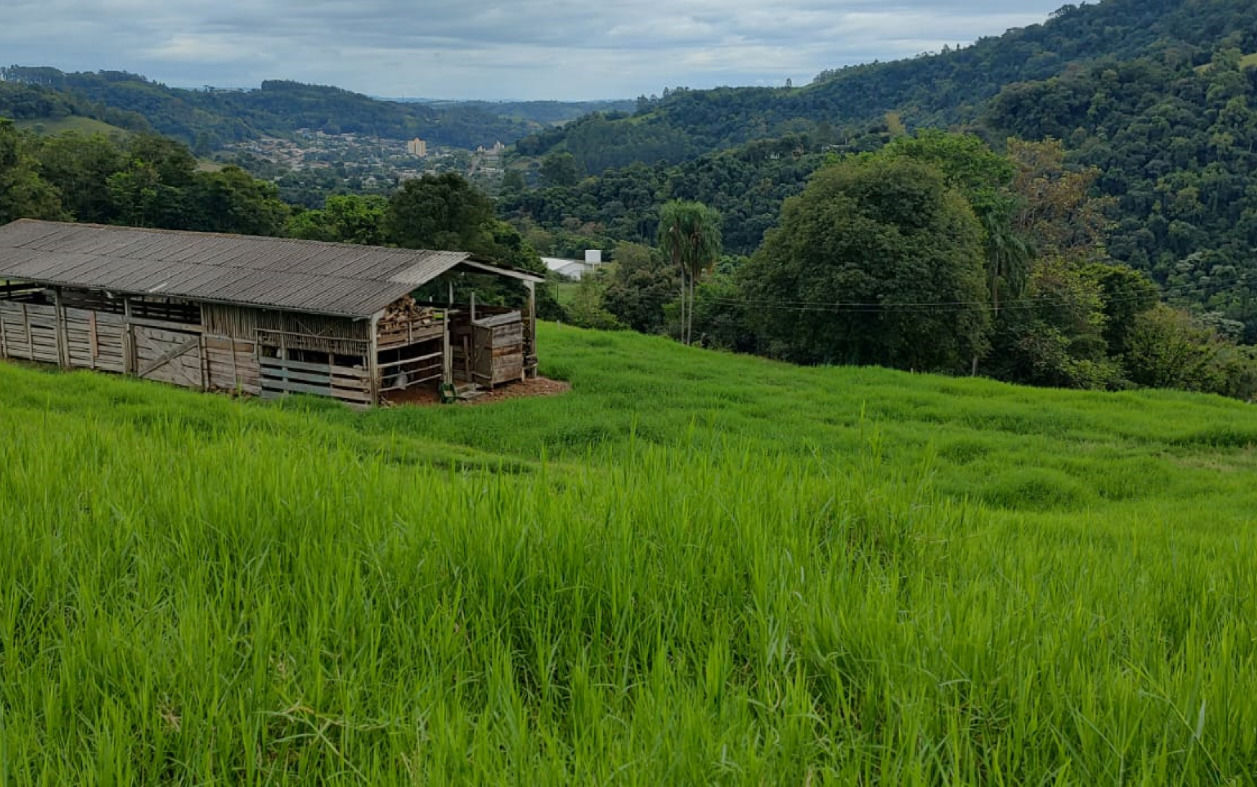 Fazenda/Sítios/Chácaras no bairro Linha Fernando Machado, em Coronel Freitas | Eu Corretor