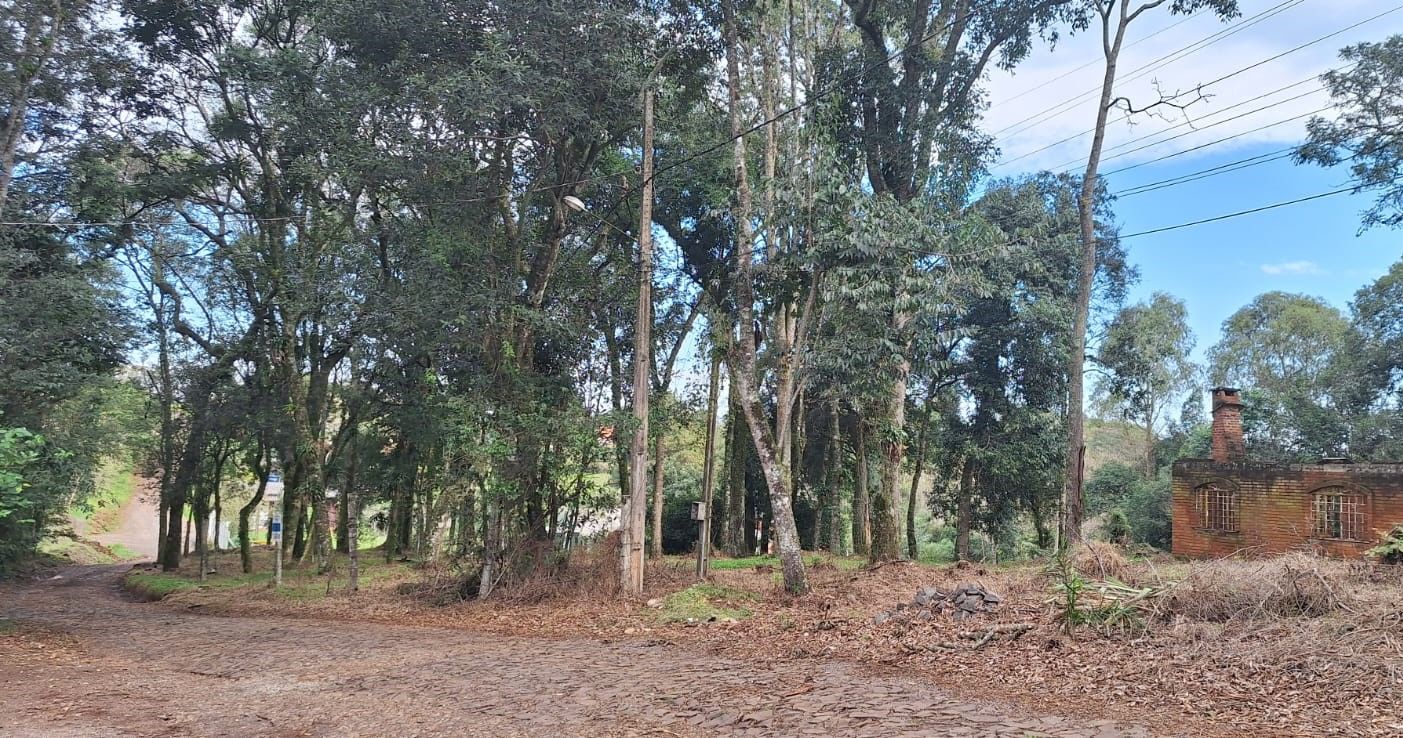 Lote/Terreno de 1720m² no bairro Campestre, em Chapecó | Eu Corretor