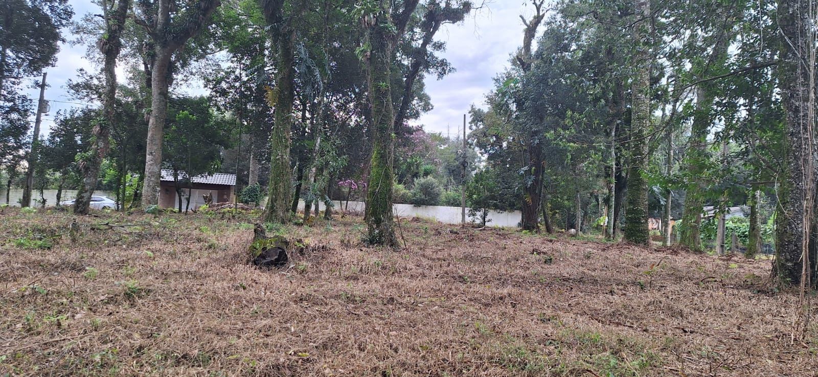 Lote/Terreno de 1720m² no bairro Campestre, em Chapecó | Eu Corretor