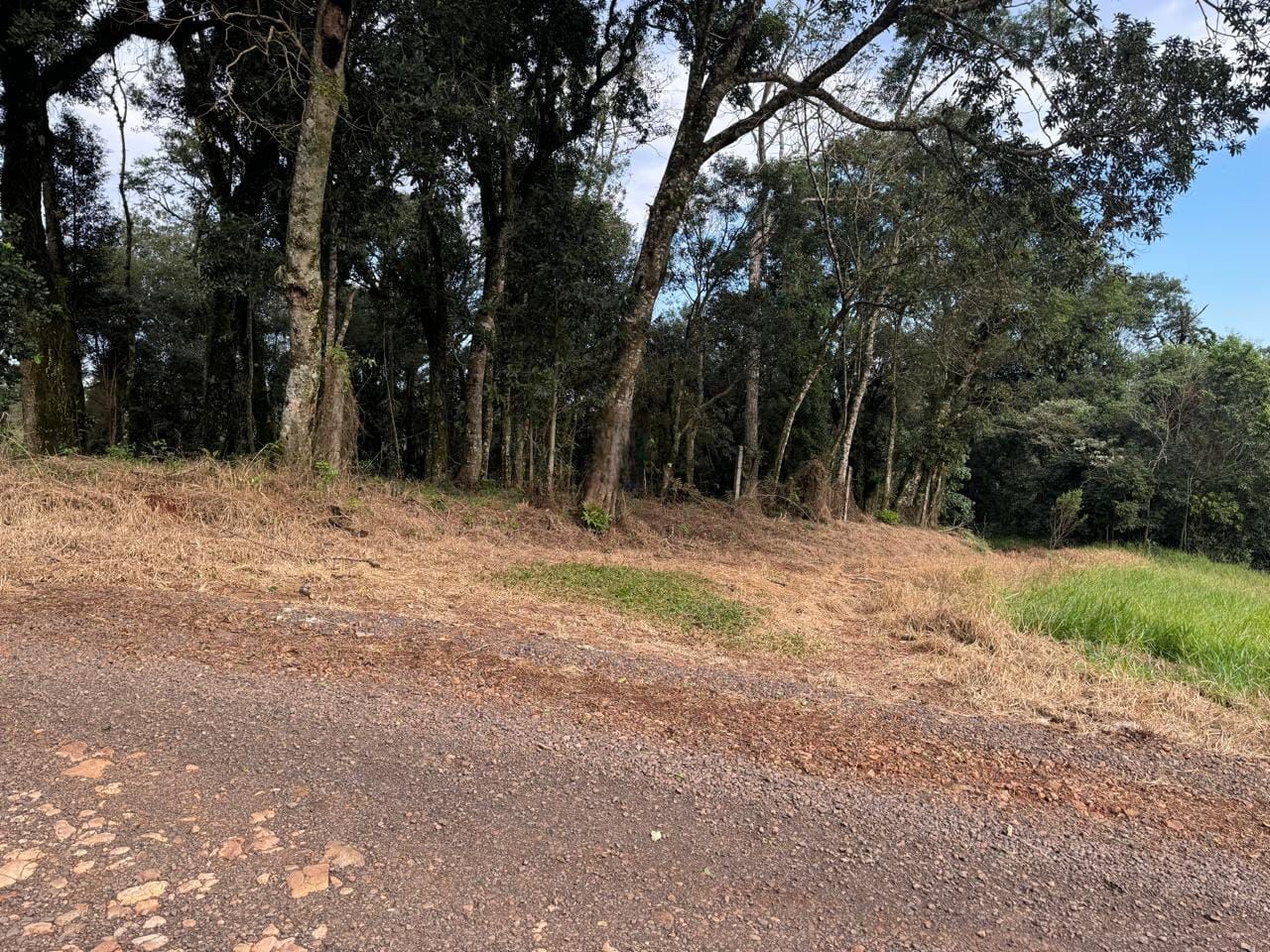 Lote/Terreno de 1720m² no bairro Campestre, em Chapecó | Eu Corretor