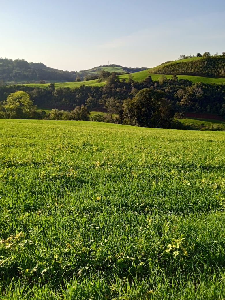 Fazenda/Sítios/Chácaras de 34640m² no bairro Legeado Bonito, em Caxambu do Sul | Eu Corretor