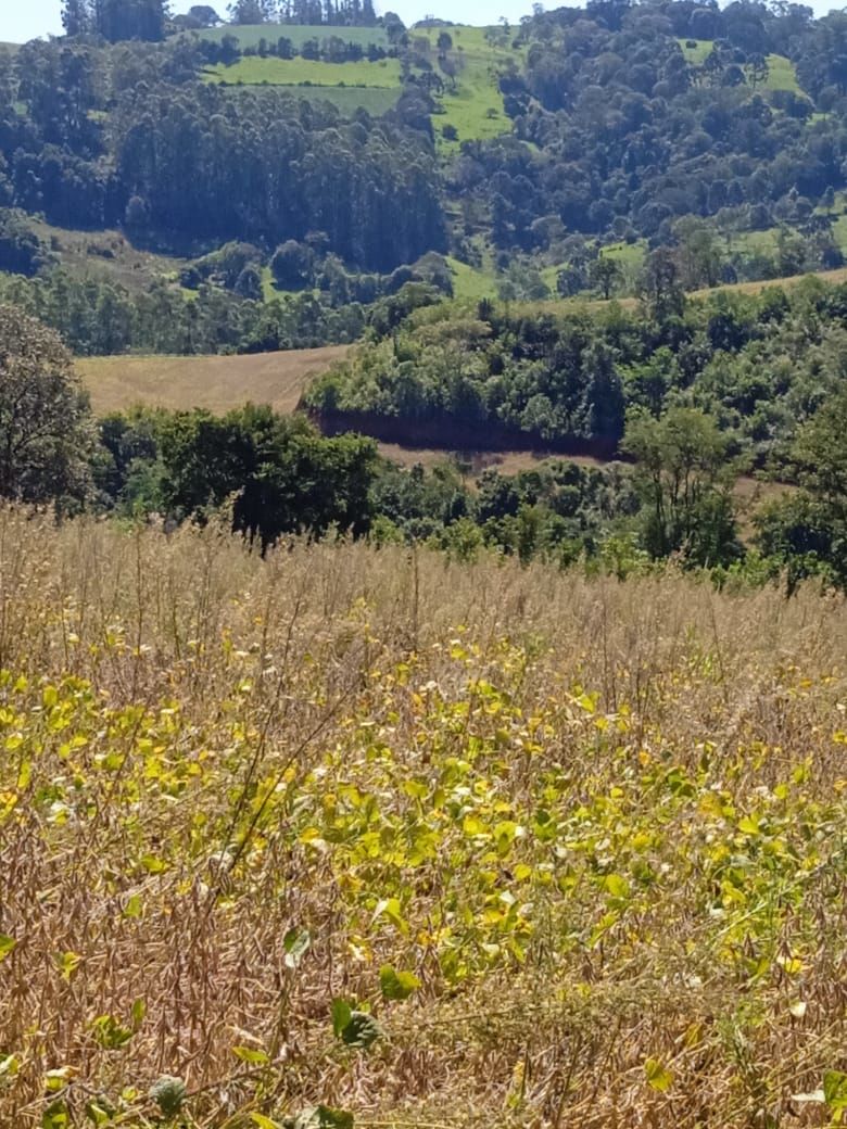 Fazenda/Sítios/Chácaras de 34640m² no bairro Legeado Bonito, em Caxambu do Sul | Eu Corretor