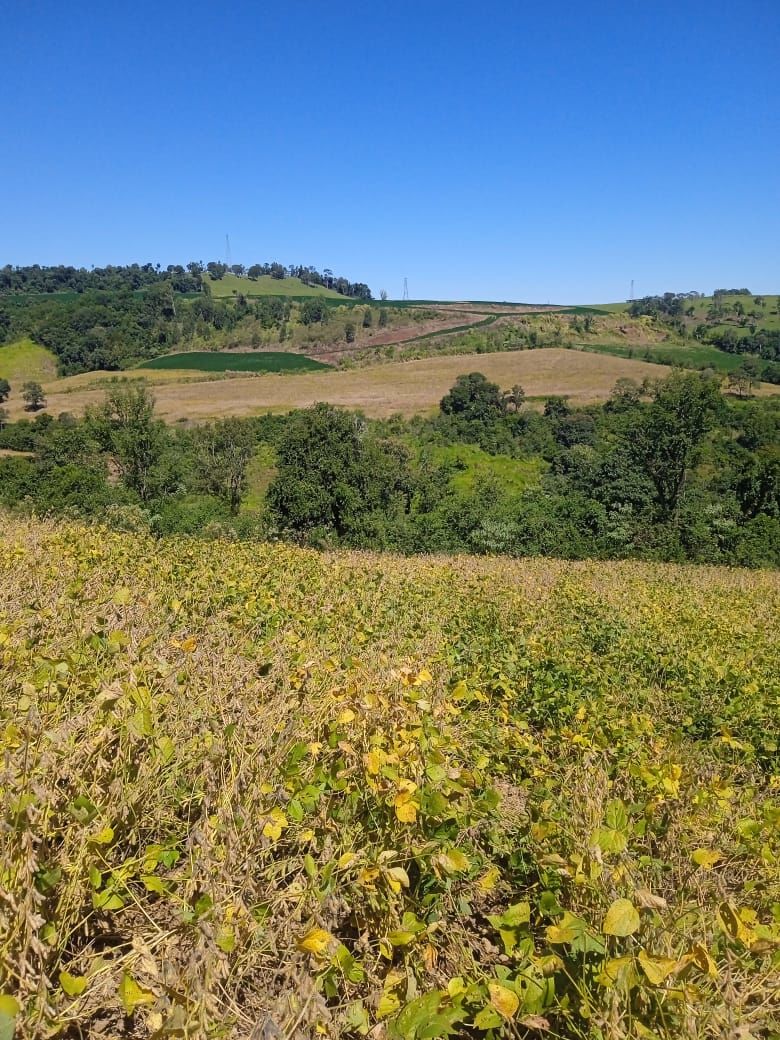 Fazenda/Sítios/Chácaras de 34640m² no bairro Legeado Bonito, em Caxambu do Sul | Eu Corretor